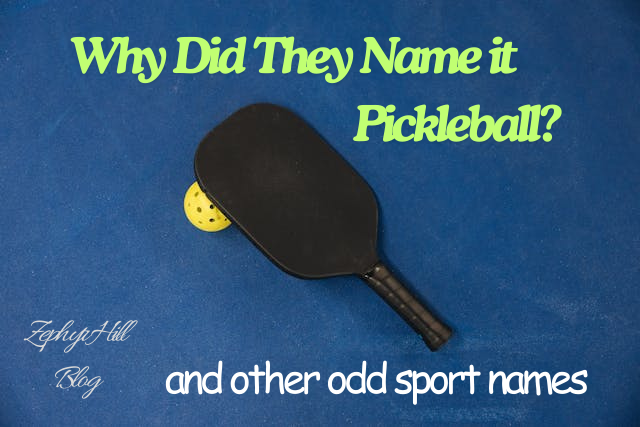 Why Is It Called Pickleball: Origins And Name Meaning